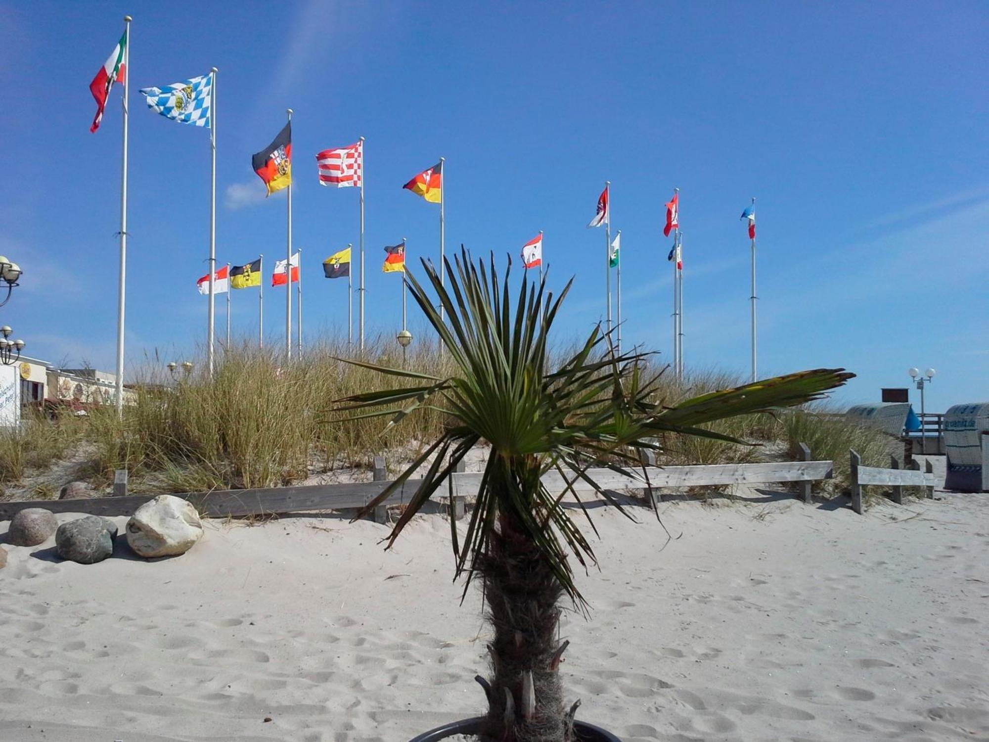 Haus Baltic - Whg 23 - Neu Inkl Saisonstrandkorb! Grömitz Exteriér fotografie